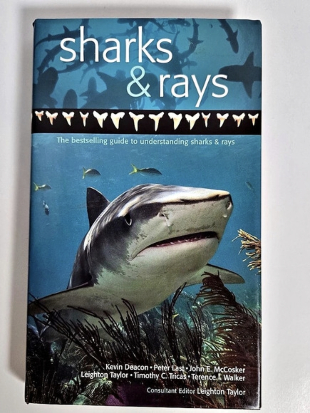 Sharks & Rays Illustrated Coffee Table Book Blue & Black
